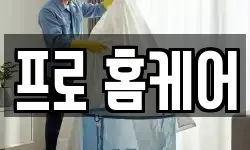 프로 홈케어
