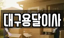 대구용달이사