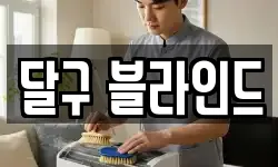 달구 블라인드