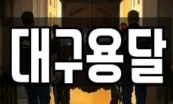 대구용달