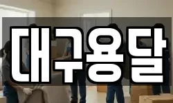 대구용달