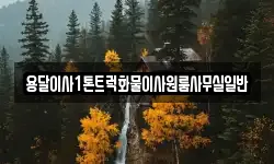용달이사1톤트럭화물이사원룸사무실일반