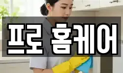 프로 홈케어