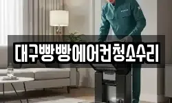 대구빵빵에어컨청소수리