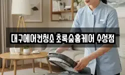 대구에어컨청소 초록숲홈케어 수성점