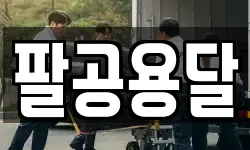 팔공용달