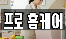 프로 홈케어