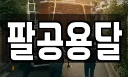 팔공용달