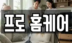 프로 홈케어