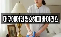 대구에어컨청소해피바이러스