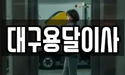 대구용달이사