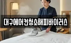 대구에어컨청소해피바이러스
