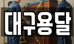 대구용달