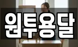원투용달