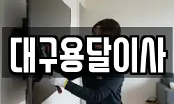 대구용달이사