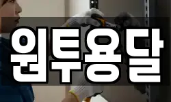 원투용달
