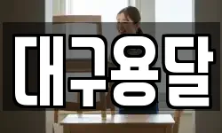 대구용달