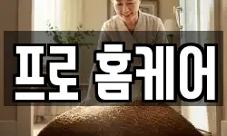 프로 홈케어