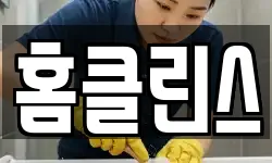 홈클린스