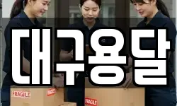 대구용달