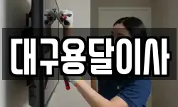 대구용달이사