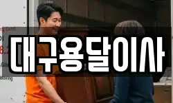 대구용달이사