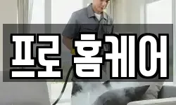 프로 홈케어
