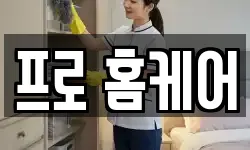 프로 홈케어