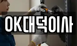 OK대덕이사