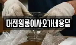 대전원룸이사오가네용달