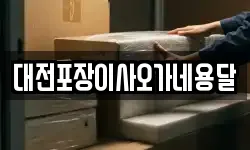 대전포장이사오가네용달