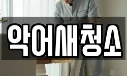 악어새청소