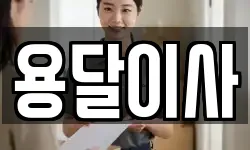 용달이사