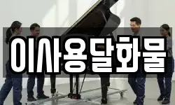 이사용달화물