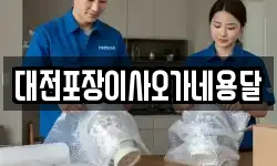 대전포장이사오가네용달