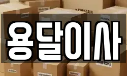용달이사