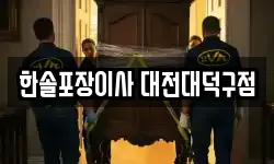 한솔포장이사 대전대덕구점