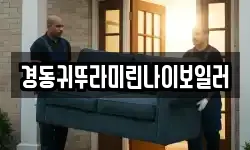 경동귀뚜라미린나이보일러
