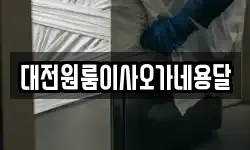 대전원룸이사오가네용달