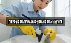 아파트입주청소이사청소사무실청소거주청소봄빛홈케어