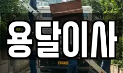 용달이사