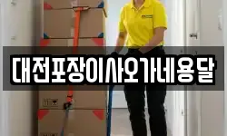 대전포장이사오가네용달