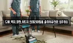 도배,벽지,장판,시트지,인테리어필름,출장시공전문,입주청소