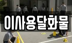 이사용달화물