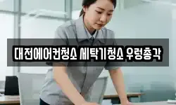 대전에어컨청소 세탁기청소 우렁총각