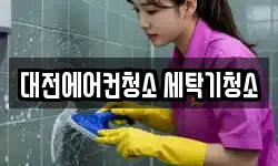 대전에어컨청소 세탁기청소