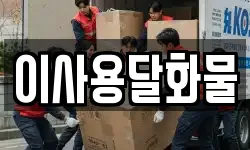 이사용달화물