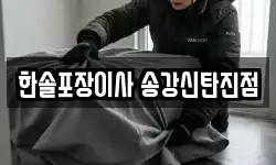 한솔포장이사 송강신탄진점