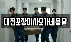 대전포장이사오가네용달