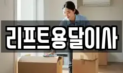 리프트용달이사